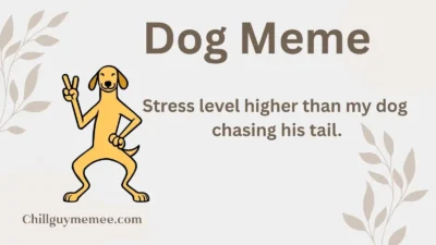 Funny Dog Meme Collection to Brighten Your Day