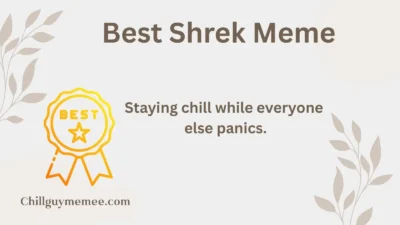 Best Shrek Meme