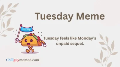 Funny Tuesday Meme