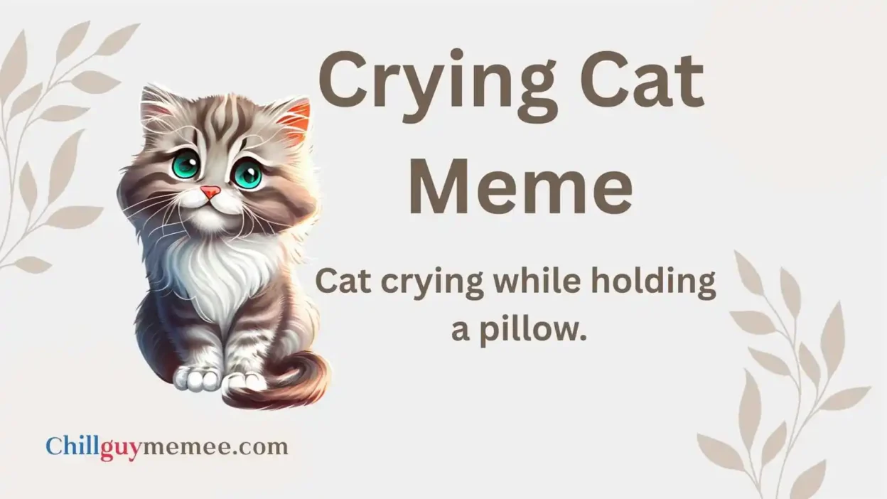 Top Crying Cat Meme