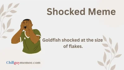 Shareable Shocked Meme