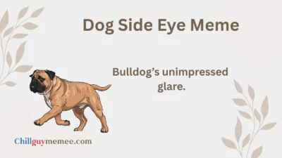 Dog Side Eye Meme Moments