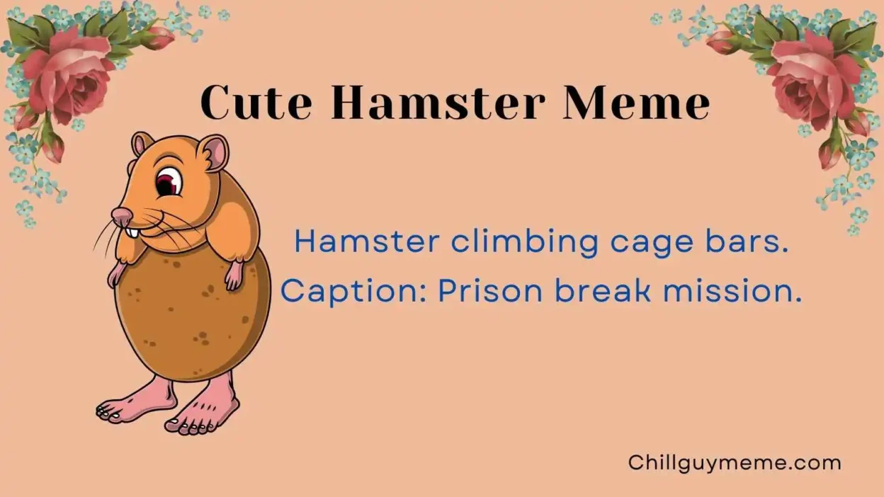 Funniest Cute Hamster Meme