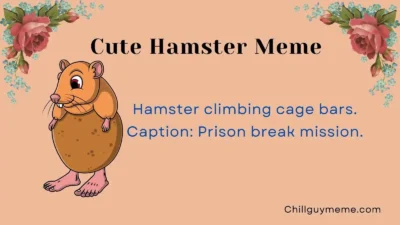 Funniest Cute Hamster Meme