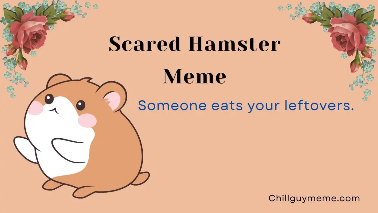 Funniest Scared Hamster Meme
