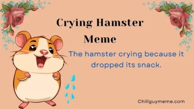 Hilarious Crying Hamster Meme
